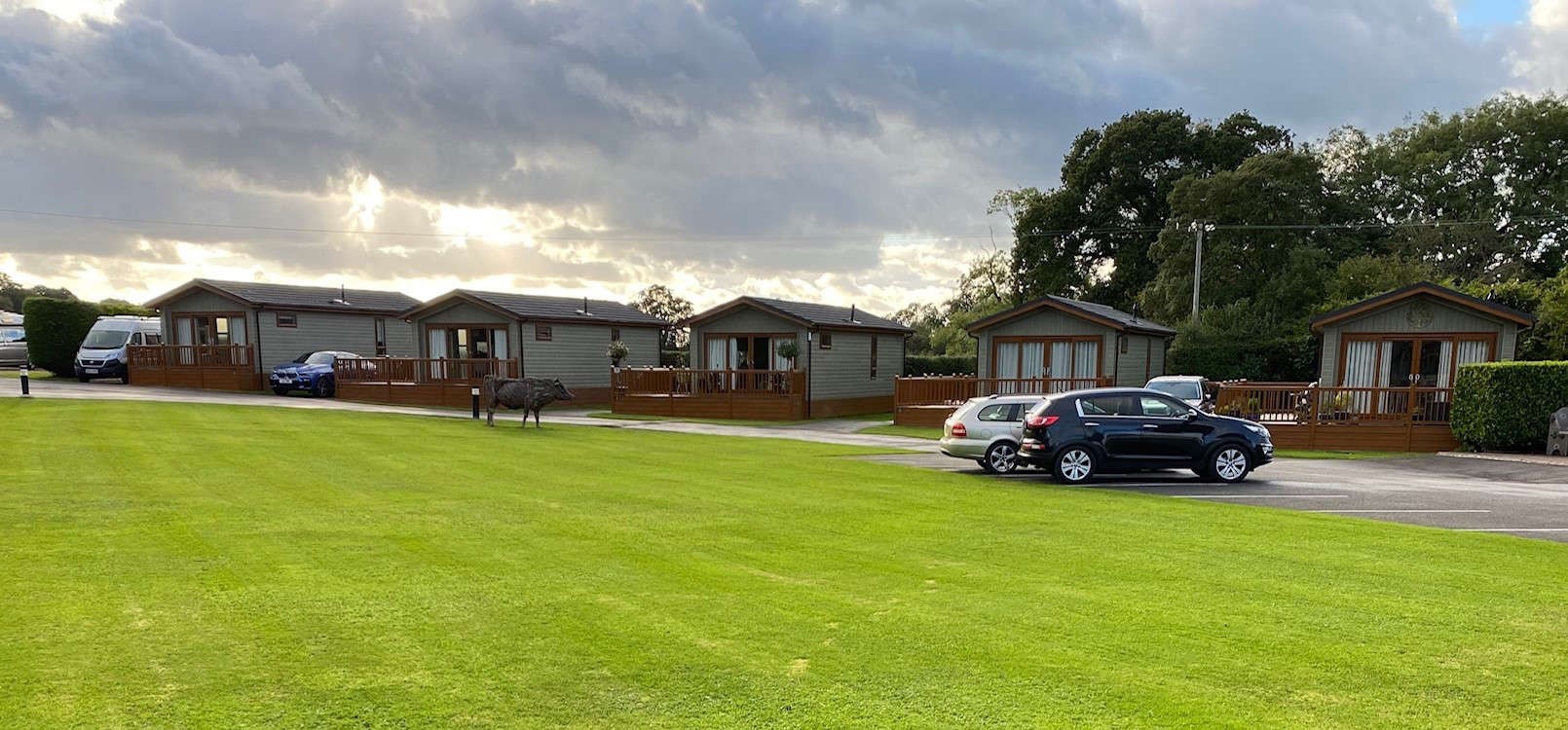 Wells Touring Park exclusive Lodges